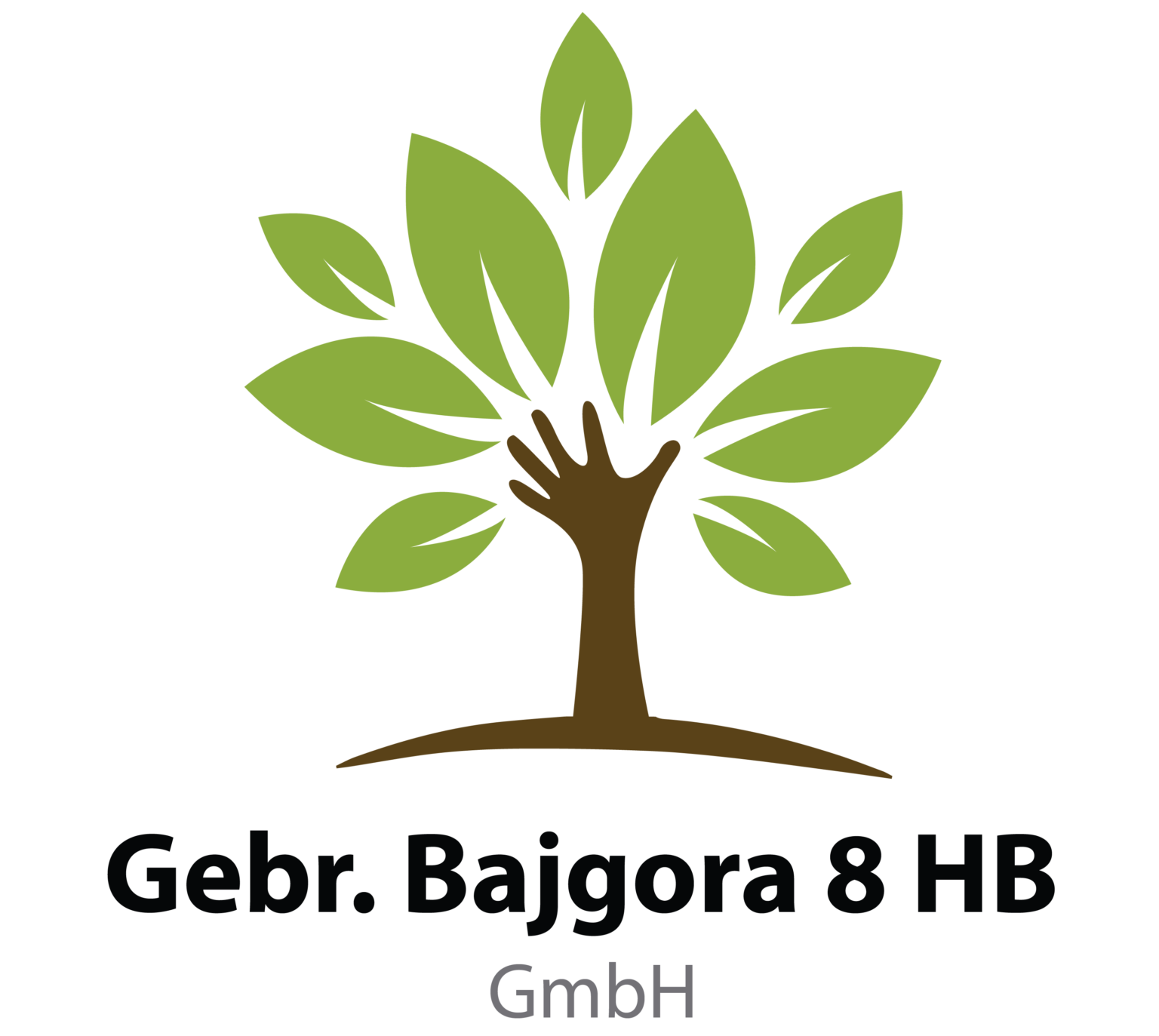 Gebr. Bajgora 8 HB
